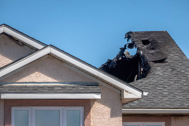 Top rated local Fire Damage Removal specialists in Bridgeport, PA